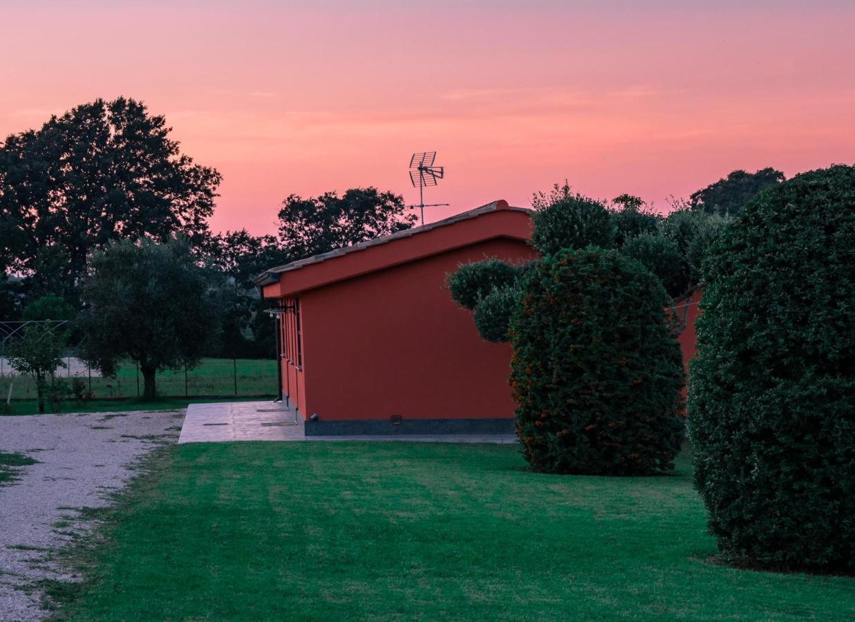 Le Rose Bed & Breakfast Nettuno Exterior photo