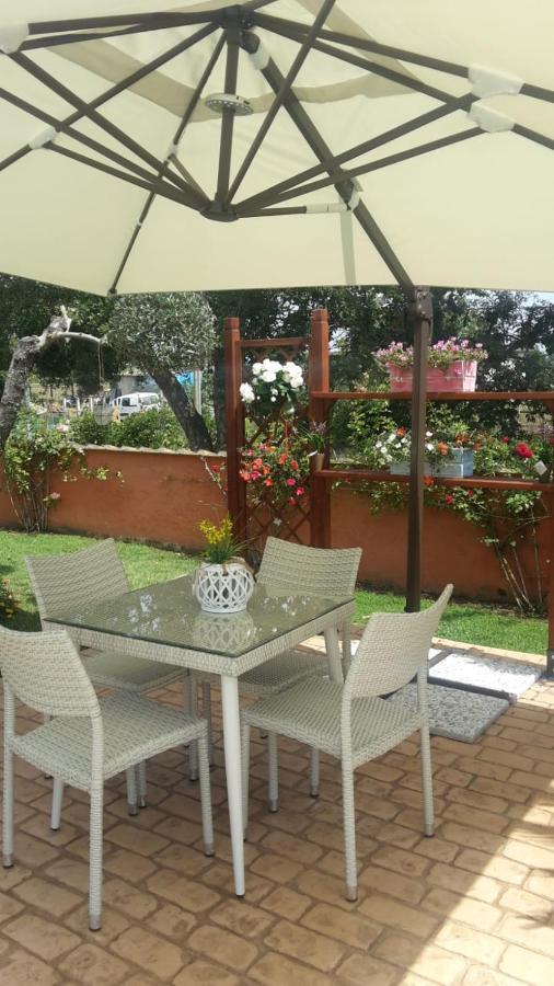 Le Rose Bed & Breakfast Nettuno Exterior photo