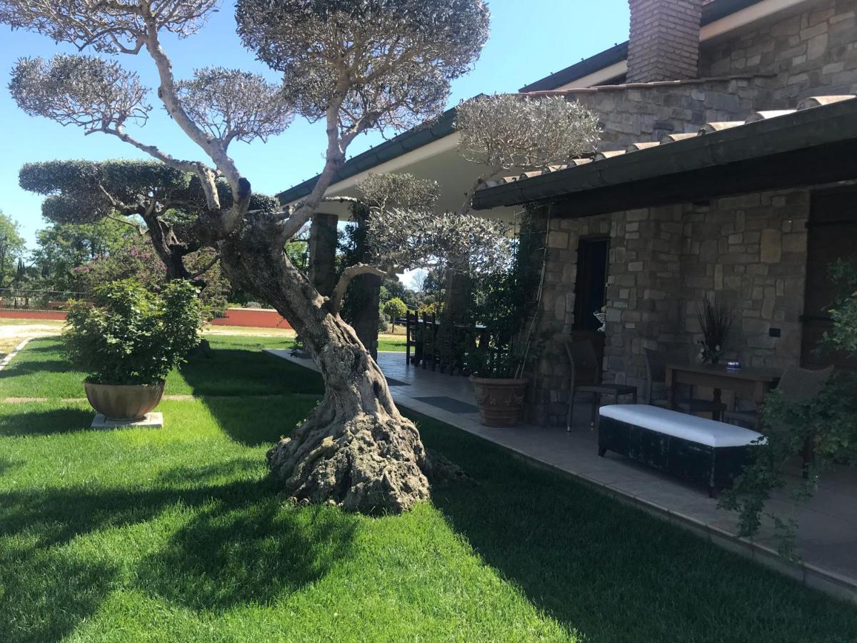 Le Rose Bed & Breakfast Nettuno Exterior photo